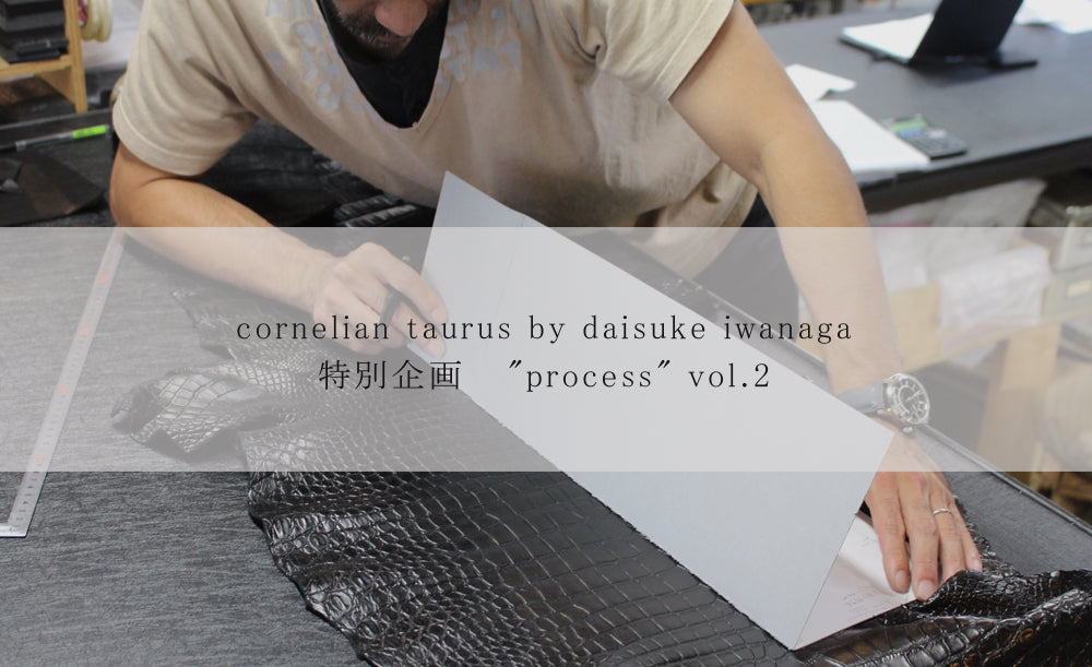 cornelian taurus by daisuke iwanaga  特別企画　”process”vol.2 by SHELTERⅡ